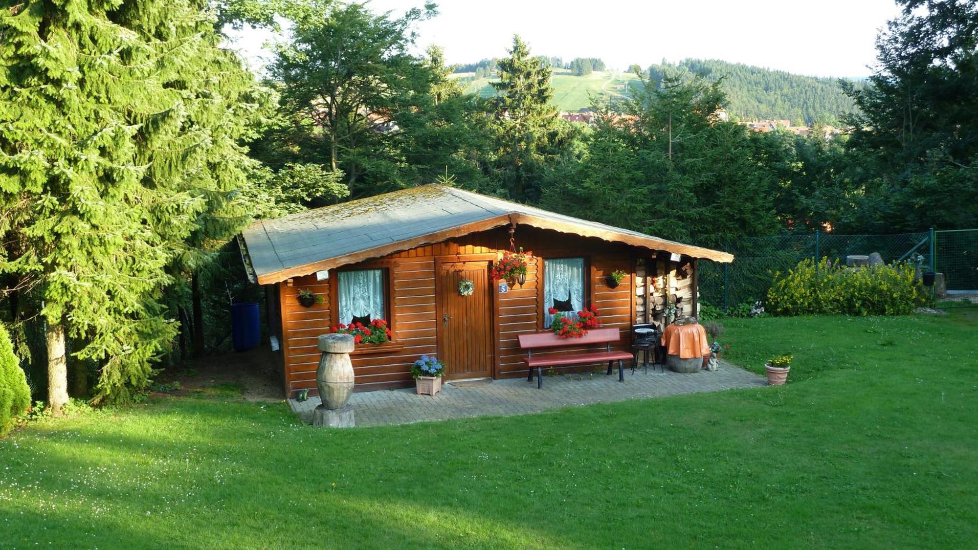 4 Sterne Ferienwohnung 140 Qm Im Haus Tina Sankt Andreasberg Exterior foto